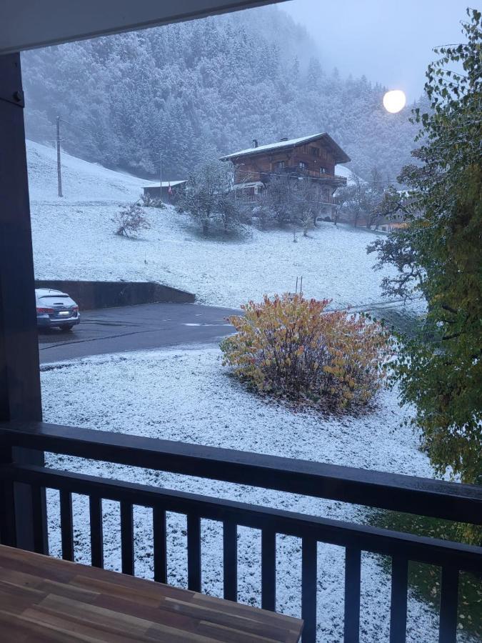 La Taniere De Sven - Vue Montagne Appartement Saint-Nicolas-la-Chapelle  Buitenkant foto